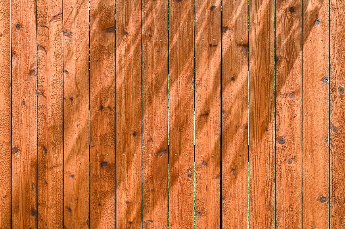 Neighborhood 2020-08-16-1