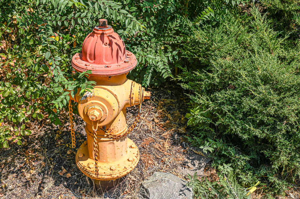 Neighborhood 2020-08-16-2