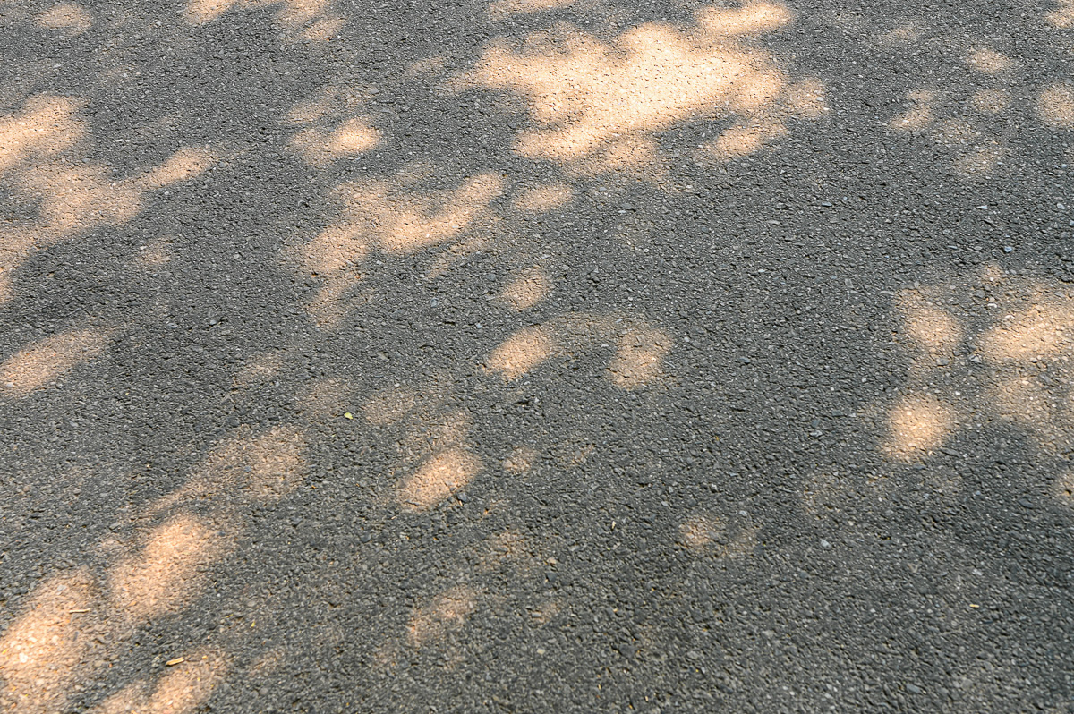 Neighborhood 2020-08-16-3